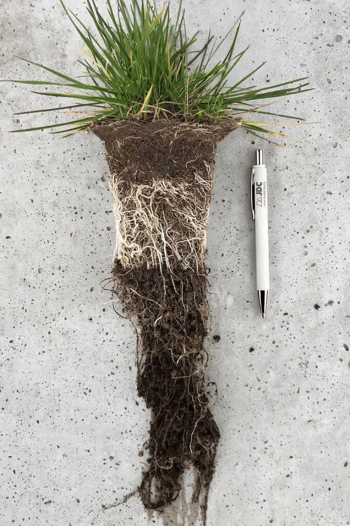 JDC Lava-Substrate - Drainix in combinatie met Eurograss en substraat JDC in grasdallen