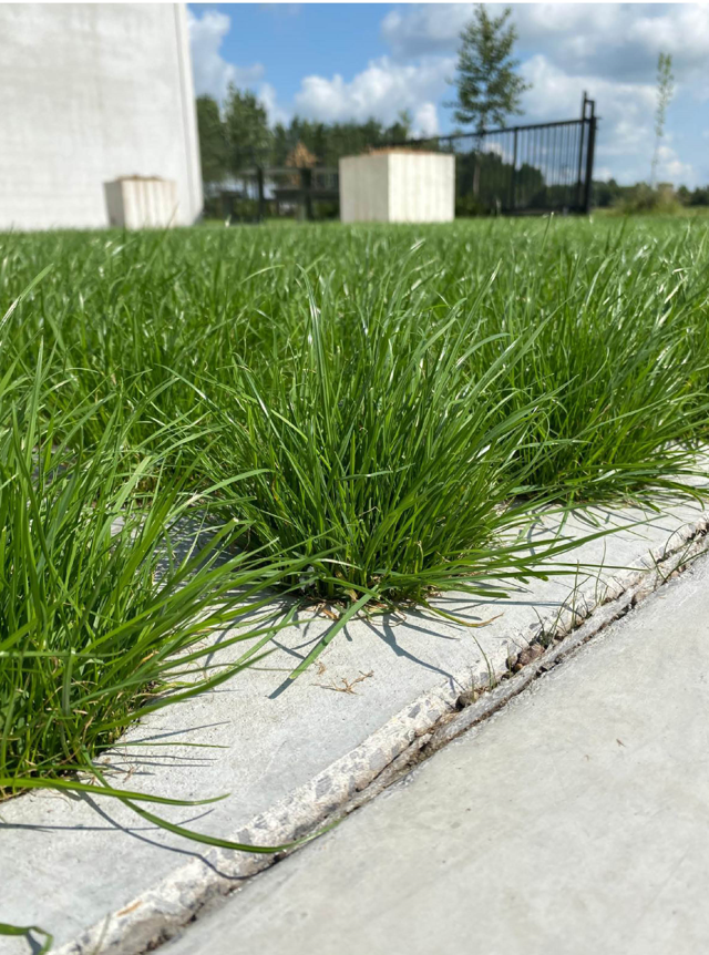 JDC Lava-Substrate Aalter - Parking met substraatondergrond en toepassing Drainix