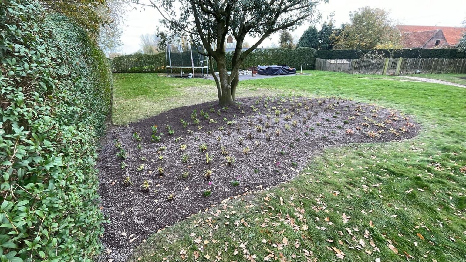 JDC Lava-Substrate - Realisatie Integratie substraat in de tuin - Ingelmunster 1