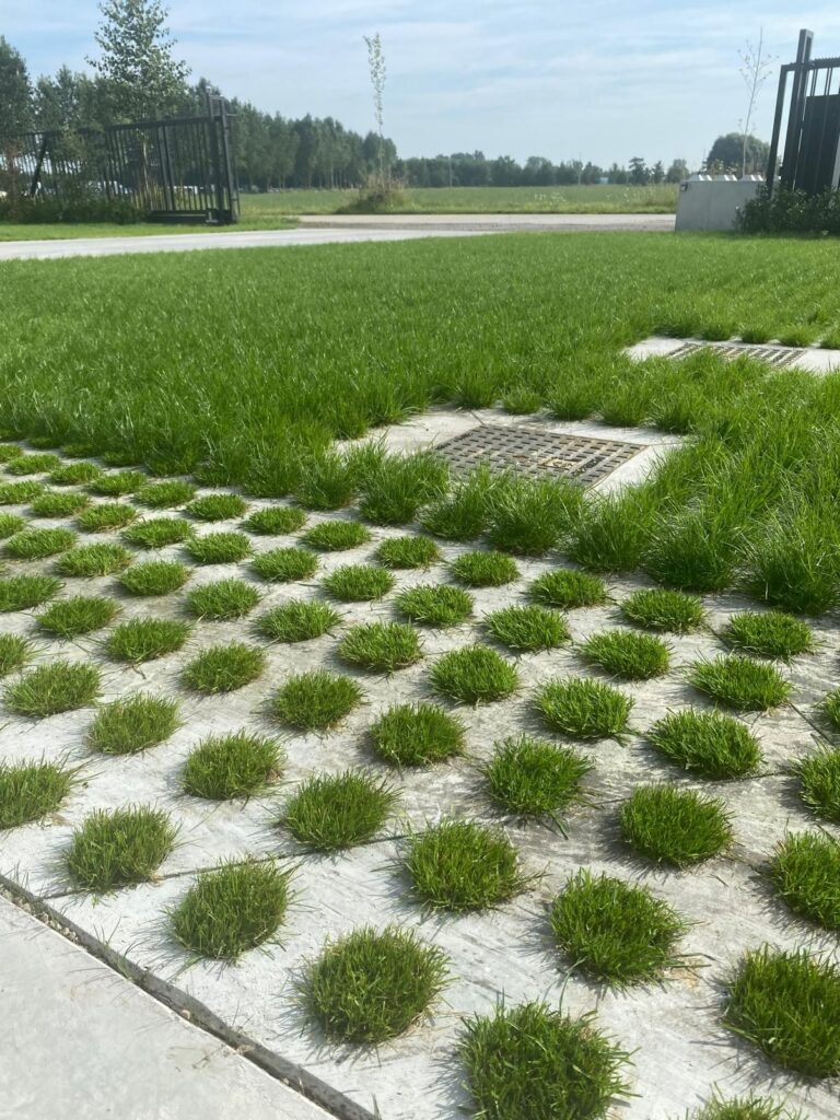 JDC Lava-Substrate - Aanleg parking eigen bedrijfssite - susbstraat met drainix - detail groen vol gras 2