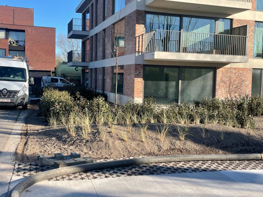 JDC Lava-Substrate - Intensieve daktuin op keldervlak Bredene - 1
