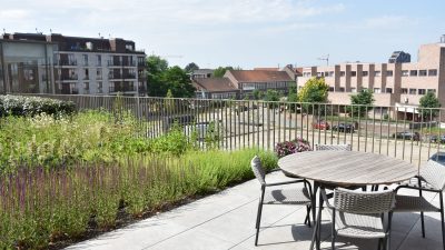 JDC Lava-Substrate Aalter - Intensieve daktuin te Hasselt - Project Quartier Blue